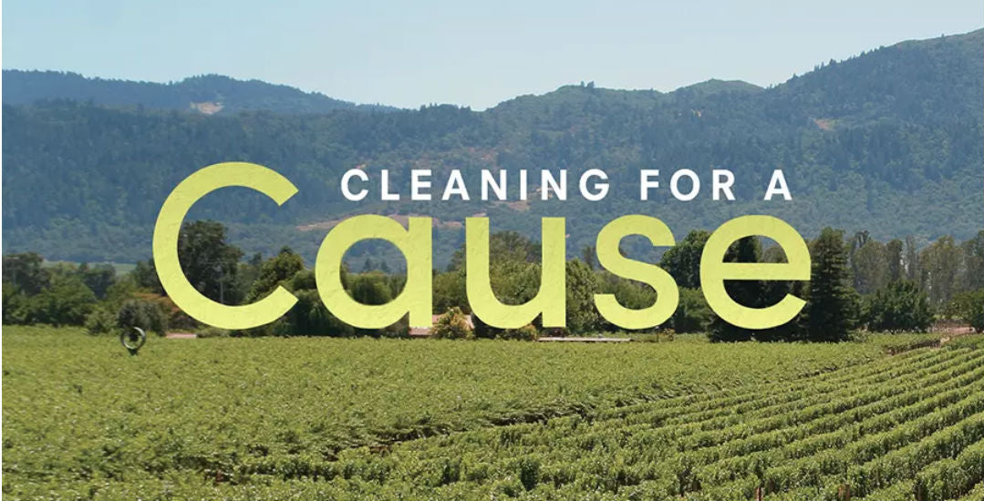 Cleaning For A Cause