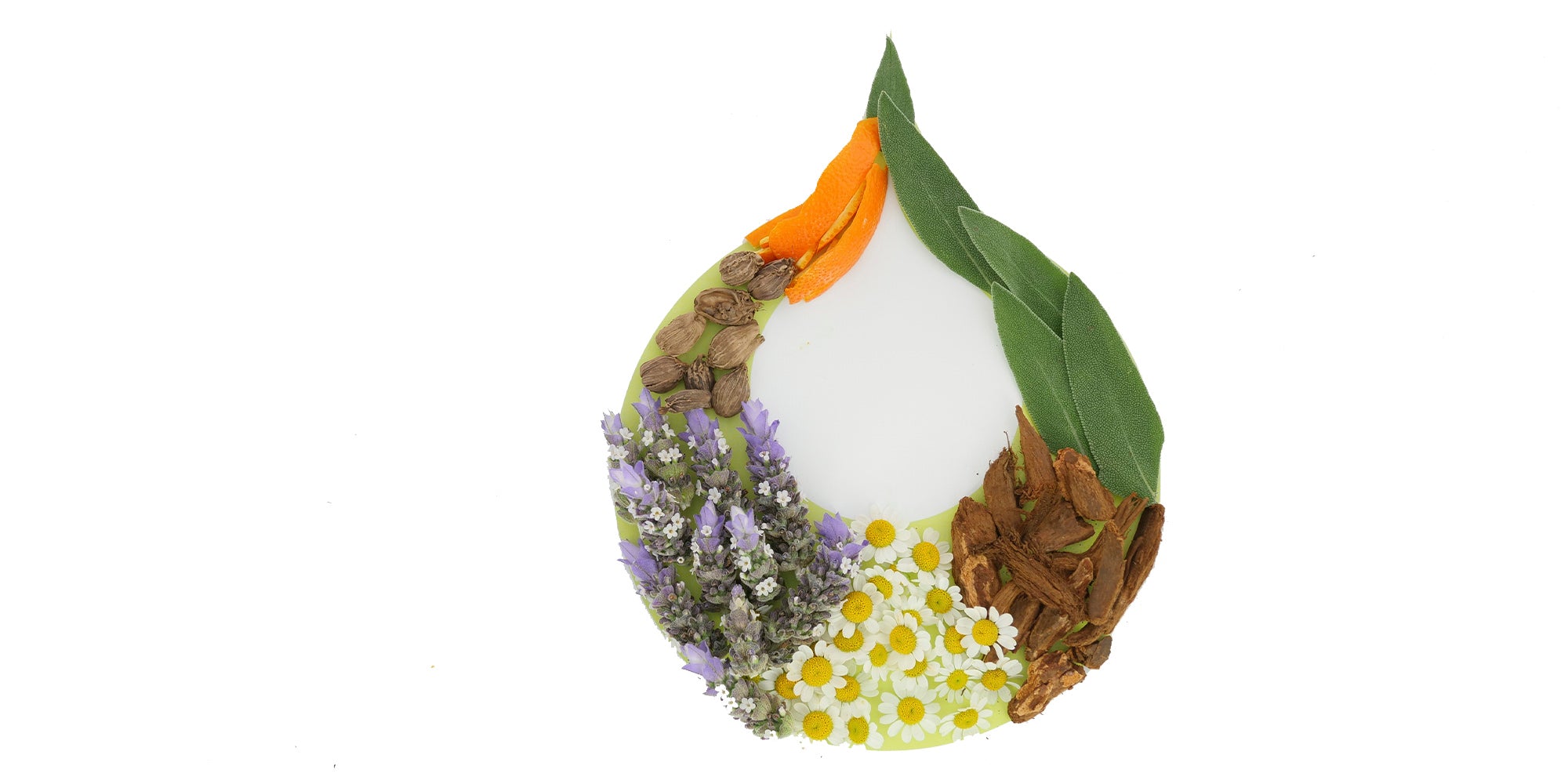 Each Day is Clear Magnificence Day at Juice Magnificence Each Day is Clear Magnificence Day at Juice Magnificence