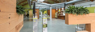 Juice Beauty Sustainable Headquarters in San Rafael