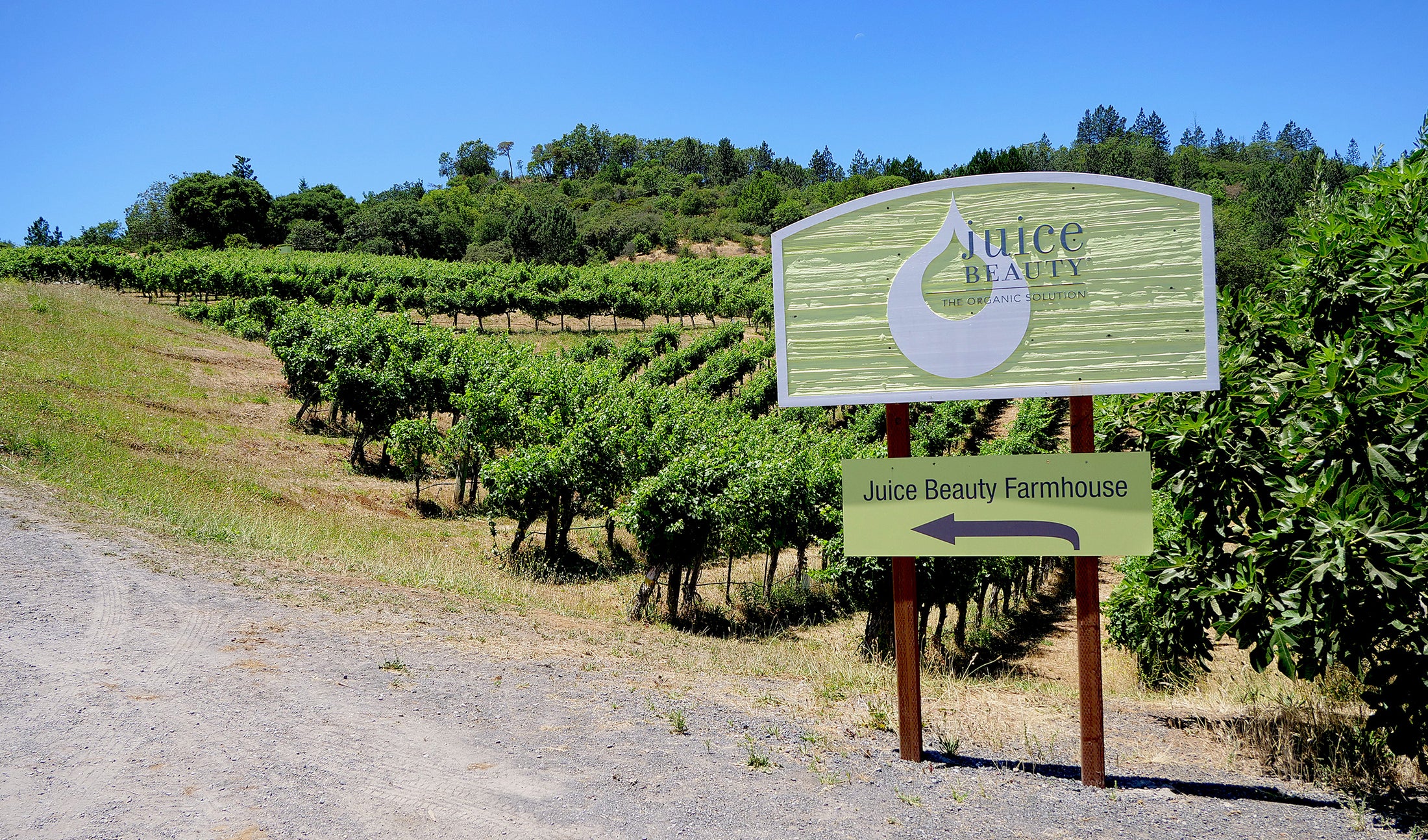 How Organic Farming Protects The Environment