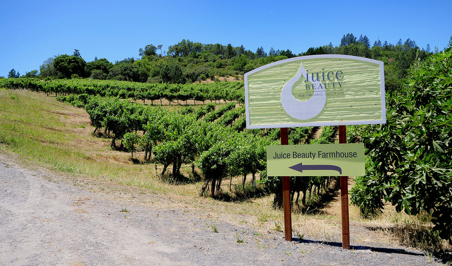 How Organic Farming Protects The Environment