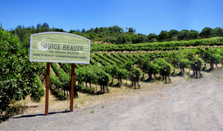 The Juice Beauty Farm Sign
