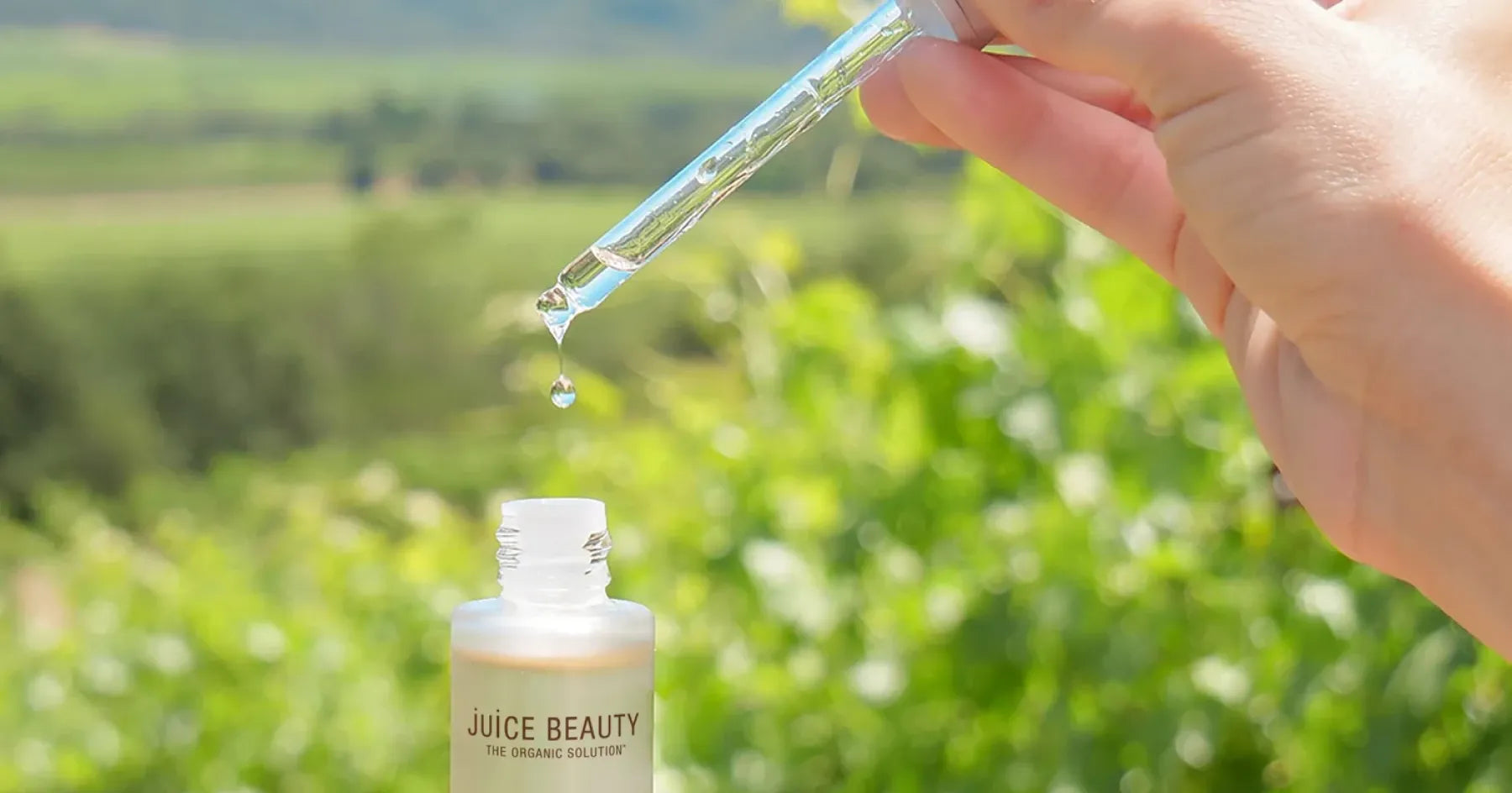 Plant Stem Cells for Skin: 6 Essential Facts to Discover Plant Stem Cells for Skin: 6 Essential Facts to Discover