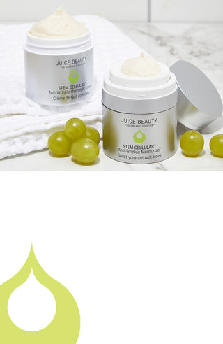 Juice Beauty  Natural Organic Ingredient Skincare & Makeup
