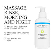 Blemish Clearing Cleanser