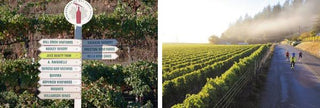 Dry Creek Valley, and the Dry Creek Valley Vineyard Signs