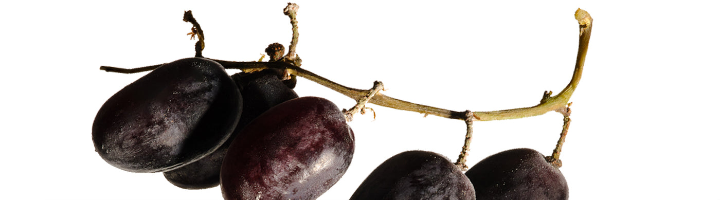 Antioxidant-Rich Grapes