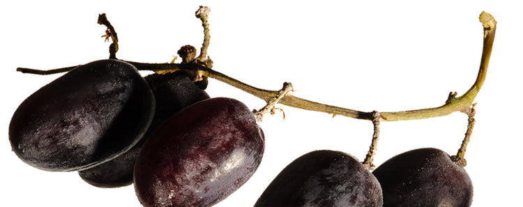 Antioxidant-Rich Grapes