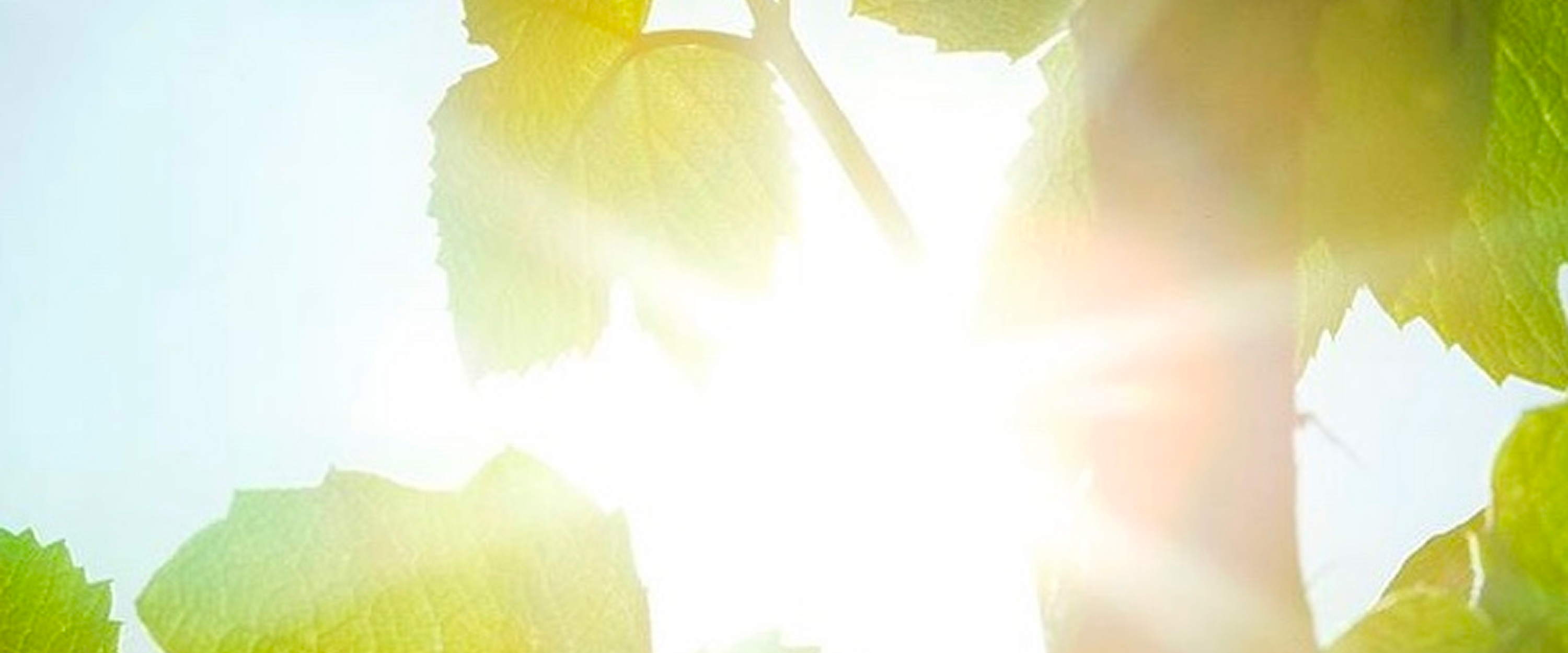 Glow Season background