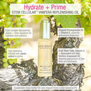 Hydrate and Prime with STEM CELLULAR Vinifera Replenishing Oil