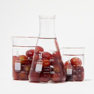 Sagrantino Grapes in a Beaker