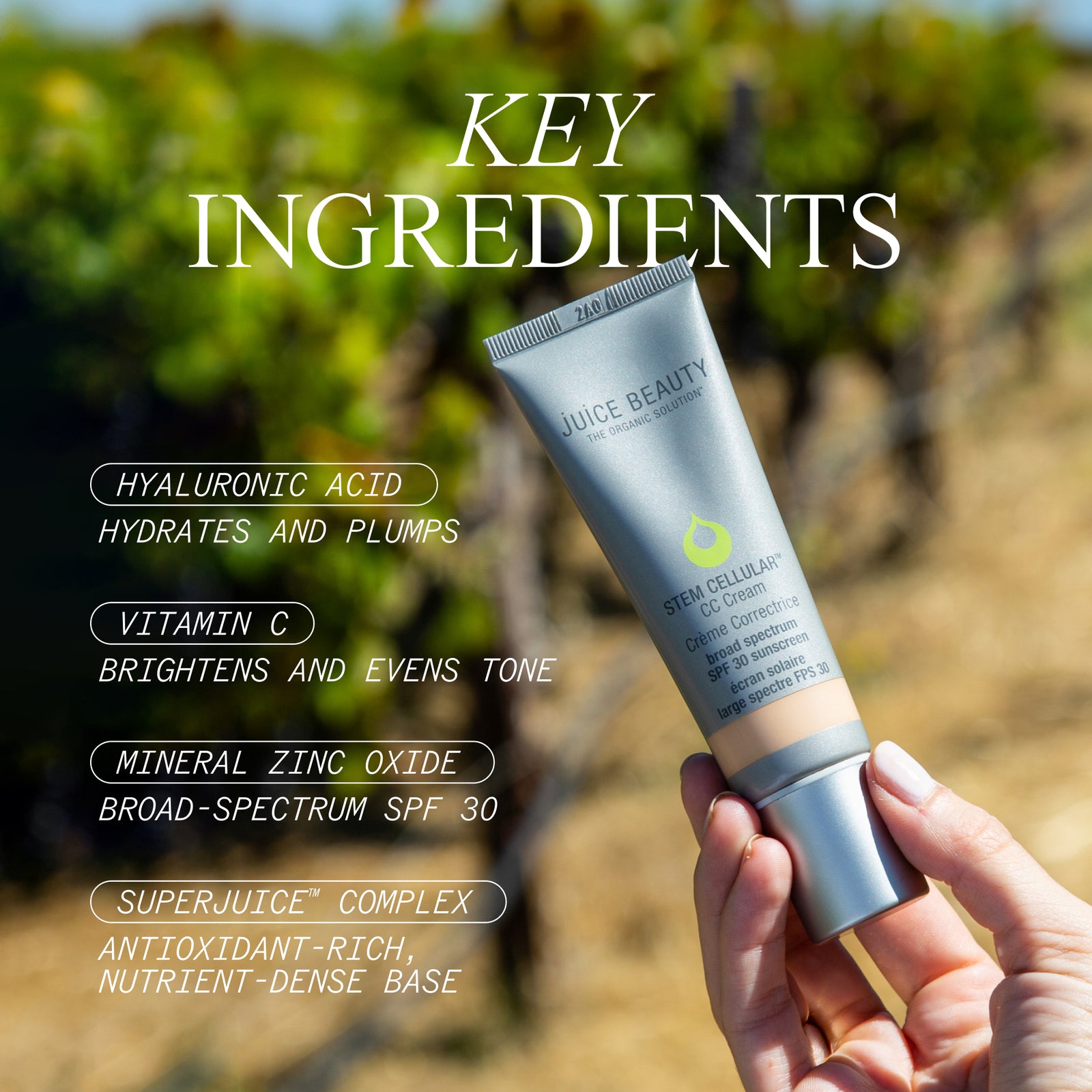 CC Cream Zinc SPF 30