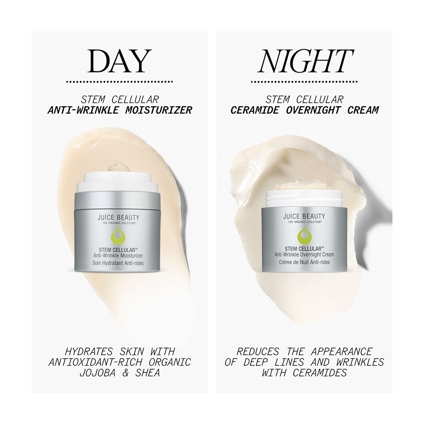 Day & Night Duo