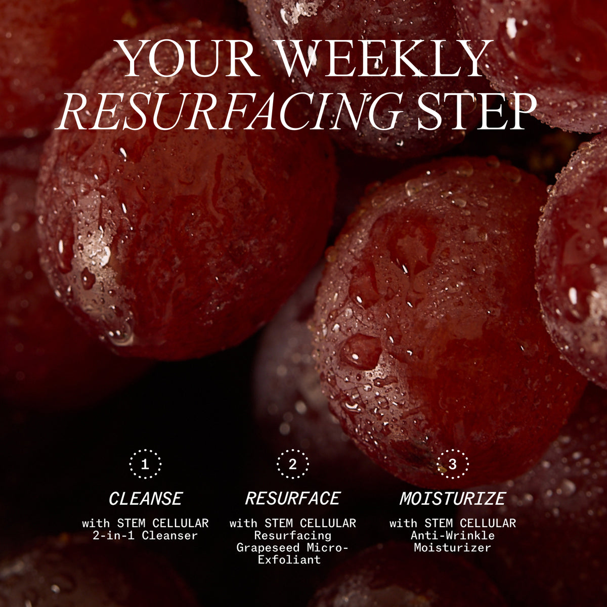 Stem Cellular Resurfacing Grapeseed Micro-Exfoliant, Face + Body
