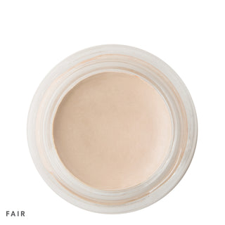 PHYTO-PIGMENTS Perfecting Concealer: Fair